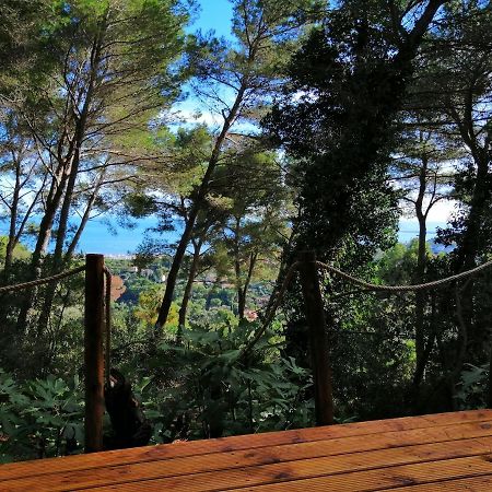 Cabane Azur Mountain Валлорис Экстерьер фото
